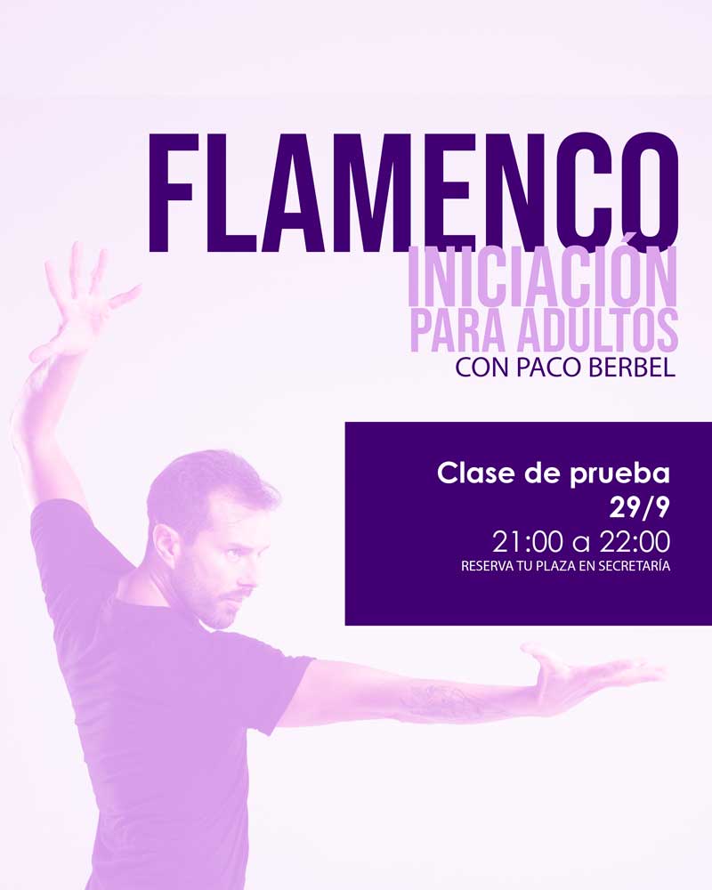 clases pruebaflamenco web